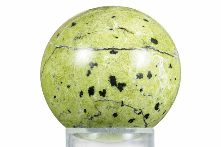 Polished Lizardite With Hematite Sphere #350137